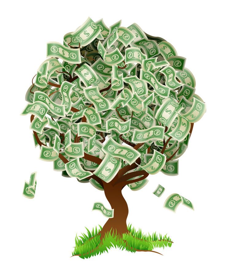 Large Money Tree