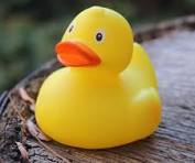 Leap Duck into the NO NO Hole