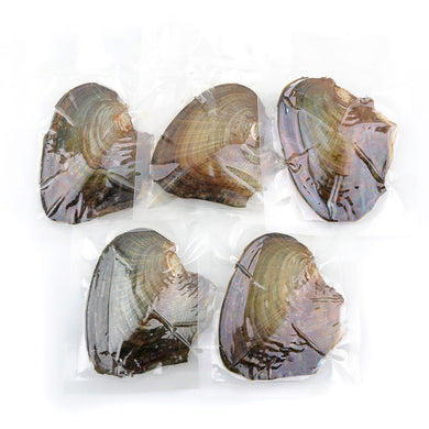 Oyster Tray